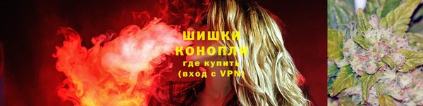 PSILOCYBIN Надым