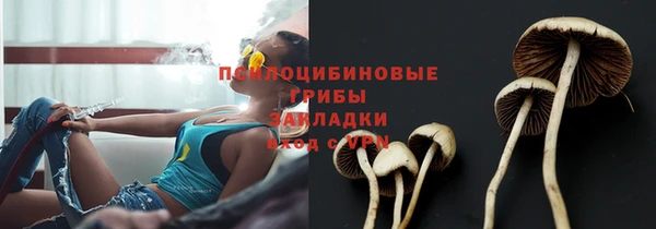 наркотики Михайлов