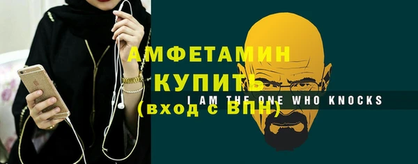 молекула духа Вяземский