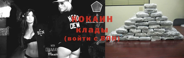 PSILOCYBIN Надым