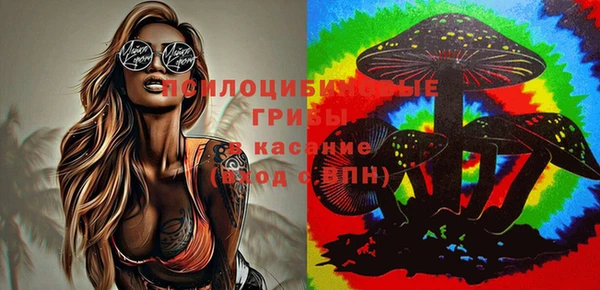 соль ск Михайловка