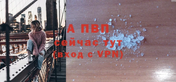 индика Вязники