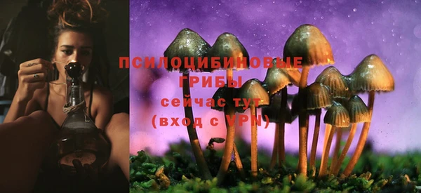 соль ск Михайловка
