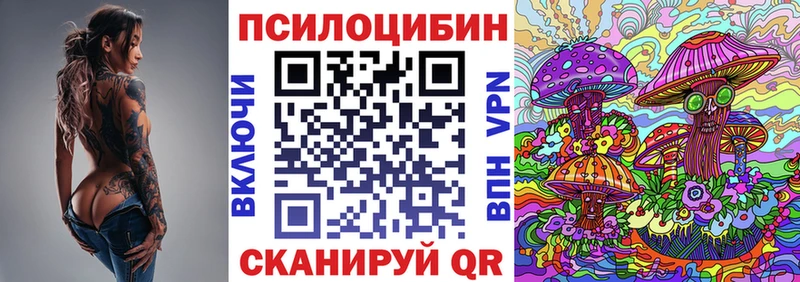 наркотики  Лысково  Псилоцибиновые грибы Psilocybine cubensis 